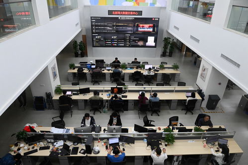 中國與東盟聚焦數(shù)字合作，推動網(wǎng)絡(luò)信息咨詢服務(wù)發(fā)展